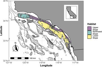 Characterizing Community Structure of Benthic Infauna From the Continental Slope of the Southern California Bight